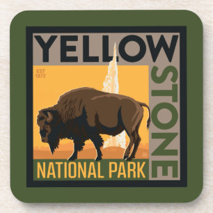 Yellowstone National Park   Buffalo Coaster