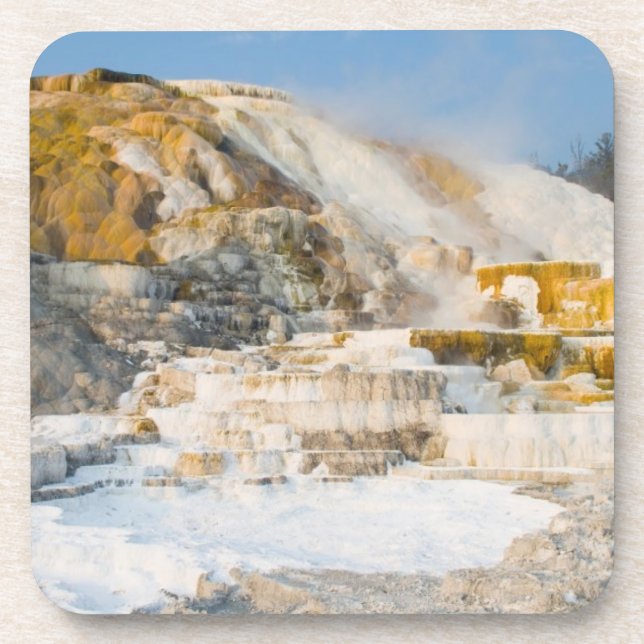 Yellowstone National Park Coaster (Front)