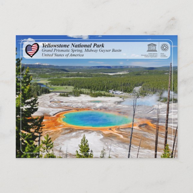 Yellowstone National Park - Grand Prismatic Spring Postcard (Front)