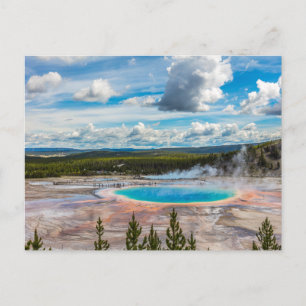 Yellowstone National Park Hot Springs Postcard