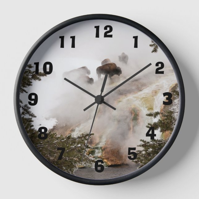 Yellowstone National Park is Amazing!  Clock (Front)