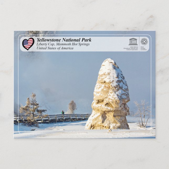 Yellowstone National Park - Liberty Cap Postcard (Front)