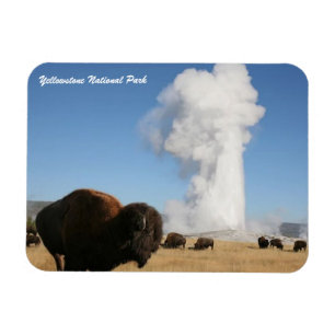 Yellowstone National Park Magnet