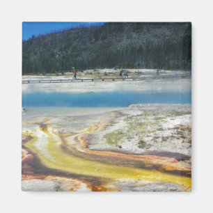 Yellowstone National Park Magnet