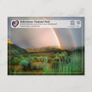 Yellowstone National Park - Mammoth Hot Springs Postcard