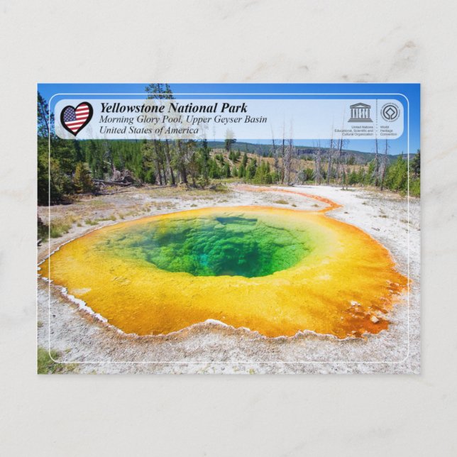 Yellowstone National Park - Morning Glory Pool Postcard (Front)