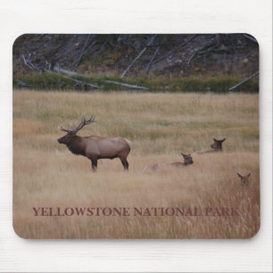 YELLOWSTONE NATIONAL PARK MOUSE PAD
