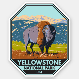 Yellowstone National Park North American Bison