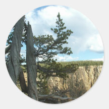 Yellowstone national park photography