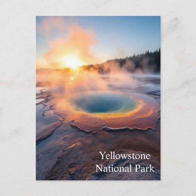 Yellowstone National Park Postcard (Front)