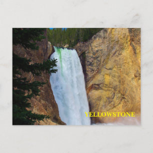 Yellowstone National Park Postcard
