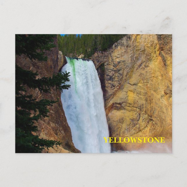 Yellowstone National Park Postcard (Front)