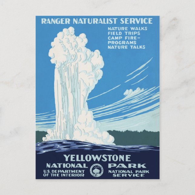 Yellowstone National Park Postcard (Front)