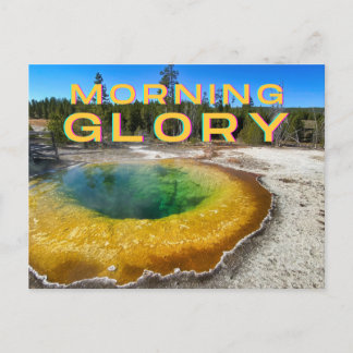 Yellowstone National Park Postcard