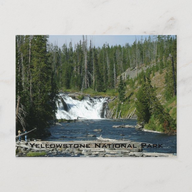 Yellowstone National Park Postcard (Front)