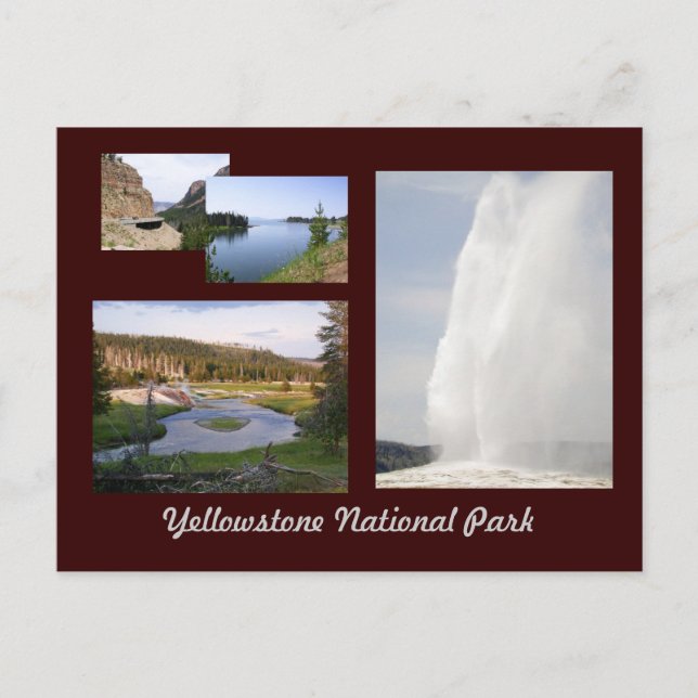 Yellowstone National Park Postcard (Front)
