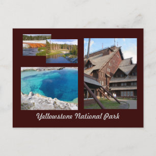 Yellowstone National Park Postcard