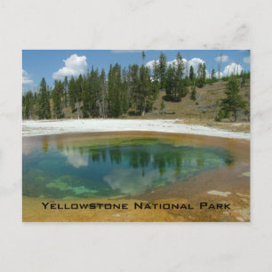 Yellowstone National Park Postcard