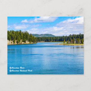Yellowstone National Park Postcard