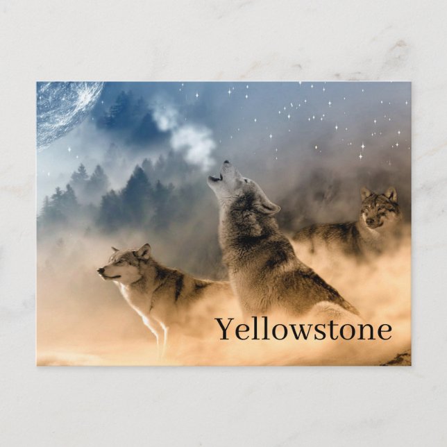 Yellowstone National Park Postcard (Front)