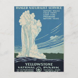 Yellowstone National Park Service Postcard