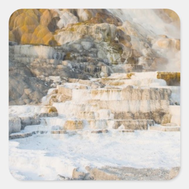Yellowstone National Park Square Sticker (Front)
