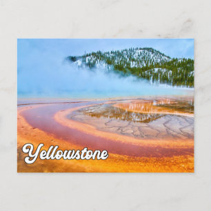 Yellowstone National Park, United States Postcard