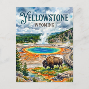 Yellowstone National Park USA Postcard