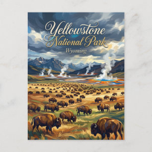 Yellowstone National Park USA Postcard