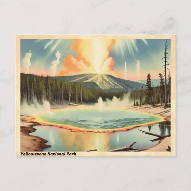 Yellowstone National Park Vintage Postcard (Front)