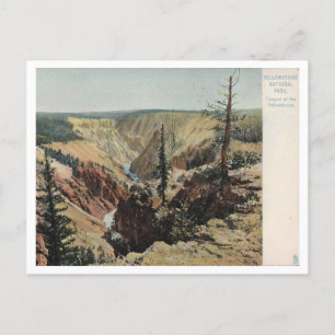 Yellowstone National Park, Vintage Postcard