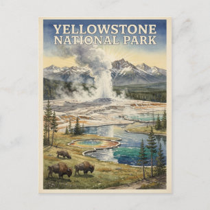 Yellowstone National Park Vintage Travel Postcard