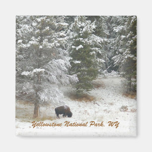 Yellowstone National Park, WY Magnet