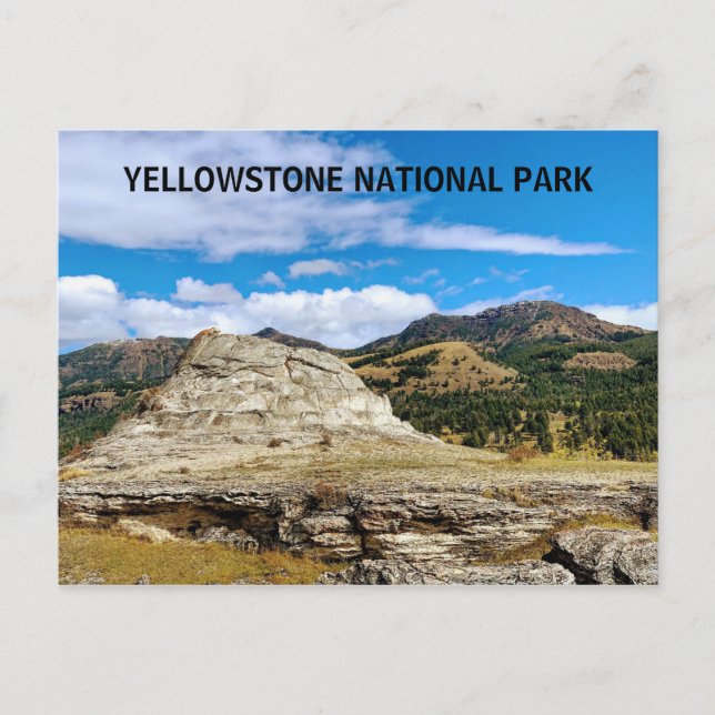 Yellowstone National Park Wyoming Postcard (Front)