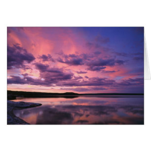 Yellowstone National Park, Wyoming. USA.