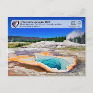Yellowstone NP - Heart Spring and Lion Geyser Postcard