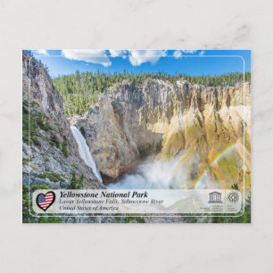 Yellowstone NP - Lower Yellowstone Falls Postcard