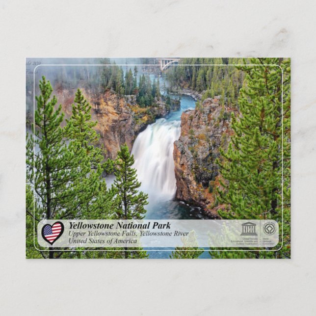 Yellowstone NP - Upper Yellowstone Falls Postcard (Front)