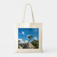 Yellowstone Park.Angel Terrace & Lone Tree