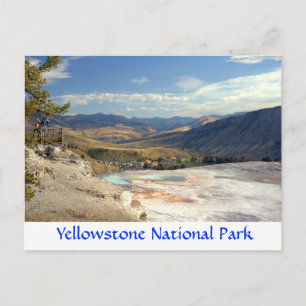 Yellowstone Park Mammoth Hot Springs Post Card