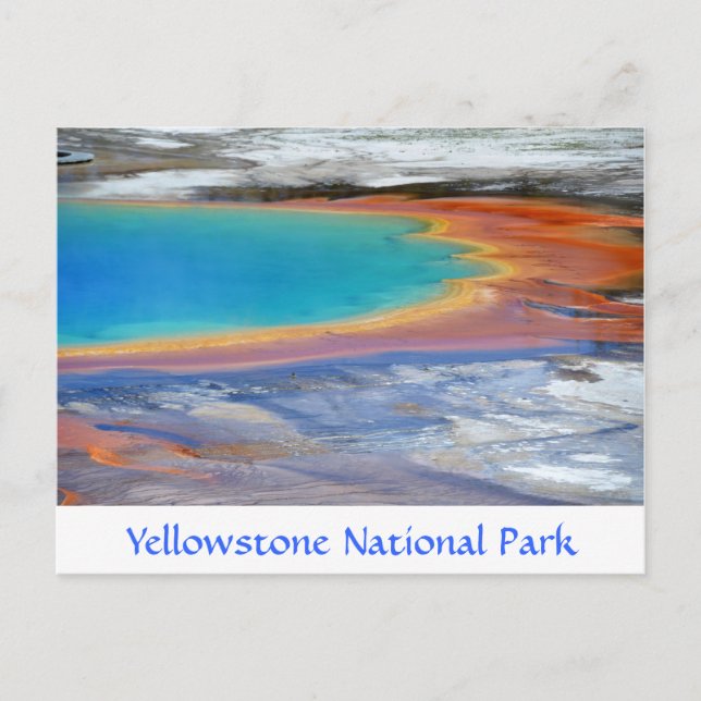 Yellowstone Prismatic Spring Wyoming Post Card (Front)