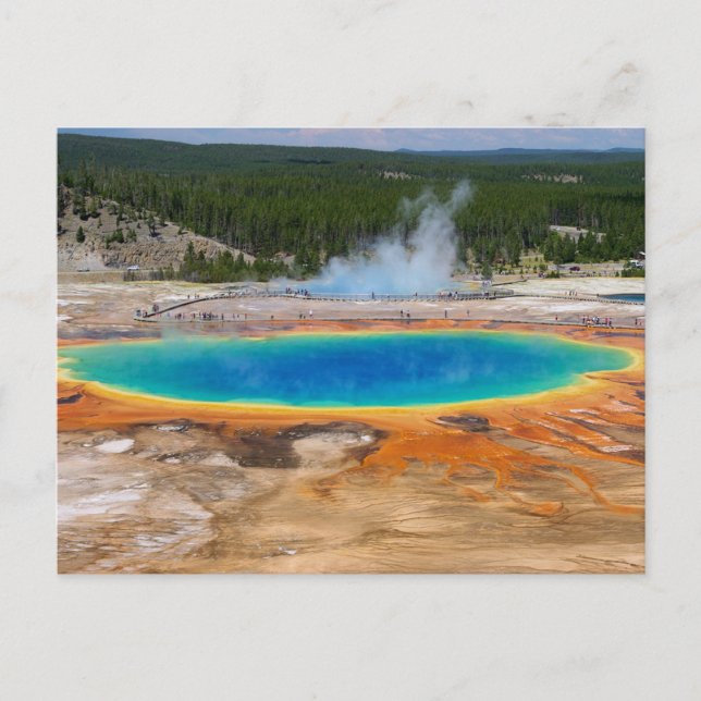 Yellowstone Prismatic Spring Wyoming, USA Postcard (Front)