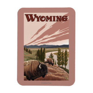 Yellowstone River Bison Vintage Travel Poster Magnet