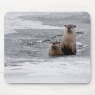 Yellowstone River Otters Mouse Pad