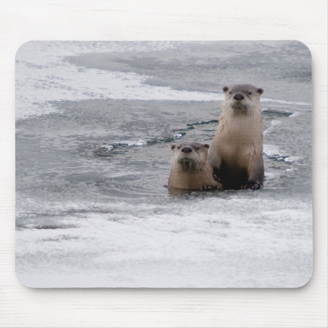 Yellowstone River Otters Mouse Pad (Front)