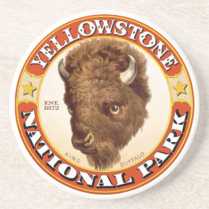 Yellowstone Sandstone Coaster