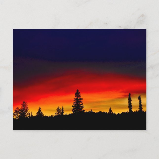 Yellowstone Sunset Postcard (Front)