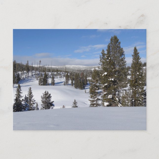 Yellowstone Winter Landscape Photography Postcard (Front)
