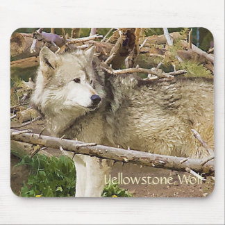 Yellowstone Wolf Mouse Pad