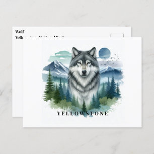 Yellowstone Wolf Postcard